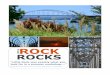 ROCK ROCKS€¦ · committee to focus on – new research ideas, implementation of existing research products and Annual Meeting session ideas.” -from Muggs Stoll in an email to