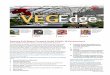 VegEdge newsletter – Volume 16, Issue 4, 4/1/2020 · VegEdge is the highly regarded newsletter produced by the Cornell Vegetable Program. It provides readers with information on