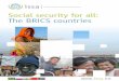 Social security for all: The BRICS countries€¦ · The project In 2008, the ISSA strategy for the extension of social security coverage was drafted to guide the Association’s