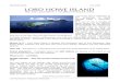 Where is it - Lord Howe Island Howe Island... · 2020. 1. 7. · The catch typically includes kingfish, yellowfin tuna, wahoo and other oceanic species – many of which end up on