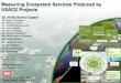 Dr. Kelly Burks-Copes · ® Slide 12 of 36 Innovative solutions for a safer, better world Case Study #2: Realizing a Triple Win in the Desert: Systems-level Engineering With Nature