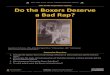 Do the Boxers Deserve a Bad Rap? · 9/1/2016  · • The Boxers might deserve a bad rap because, although brutal at times, their rebellion was also a defensive response to foreign