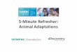 5-Minute Animal Adaptations - Siemens STEM Day...Animal)Adaptations)– Additional)Information • Animal#adaptation#can#cause#an#increase#or#decrease in#the#population#of#aspecific#animalor#atrait#of#that