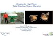 Chasing the High Fliers: Radar Studies of Insect Migration · Chasing the High Fliers: Radar Studies of Insect Migration Jason W. Chapman Centre for Ecology and Conservation, University