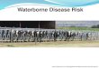 UMass Amherst - Waterborne Disease Risk...Water-Related Diseases (~80% infectious diseases) Waterborne: Cholera, typhoid, bacillary dysentery, infectious hepatitis Water-washed: Trachoma,