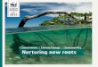 Conservation Climate Change Sustainability Nurturing new rootsassets.wwf.org.uk/downloads/guardians_appeal_cea.pdf · 2016. 10. 27. · reducing their impact on the forest. RafiiFs