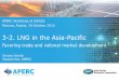 3-2. LNG in the Asia-Pacificin+Asia+Pacific.pdf · Popular pricing mechanisms in the Asia-Pacific disadvantage natural gas and LNG The region has been shocked by high natural gas