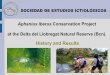 Aphanius iberus Conservation Project at the Delta del ... · SOCIEDAD DE ESTUDIOS ICTIOLÓGICOS Aphanius iberus is a fish species considered In danger of Extinction both in Spain