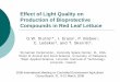 Effect of Light Quality on Production of Bioprotective ... · Effect of Light Quality on Production of Bioprotective Compounds in Red Leaf Lettuce G.W. Stutte 1*, I. Eraso , P. Bisbee1,