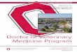 Doctor of Veterinary Medicine Program Prospective...Dear Prospective Students, Thank you for considering The Ohio State University College of Veterinary Medicine as you pursue your