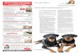 Home Building & Renovating perth’s dog whisperer KATHY ... · stages of your dog’s behaviour modiﬁ cation, it’s important to build up both your conﬁ dence and theirs, so