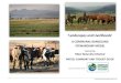 A COMMUNAL RANGELAND STEWARDSHIP MODEL...November 2015. Acknowledgement for inputs and collation go to staff of Conservation SA, LIMA, Institute of Natural Resources, NatureStamp,