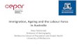 Immigration, Ageing and the Labour Force in Australia€¦ · Net Overseas Migration Level of Net Overseas Migration Per Cent of Population Aged 65 and Over, 2053 0 28.4 100,000 25.2