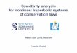 Sensitivity analysis for nonlinear hyperbolic systems of ......Sensitivity analysis for nonlinear hyperbolic systems of conservation laws Camilla Fiorini March 6th, 2019, Roscoff