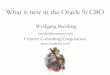 What is new in the Oracle 9i CBO - Wolfgang Breitling is new in the Oracle 9i CBO.ppt.pdf · OCP certified DBA - 7, 8, 8i, 9i Independent consultant since 1996 specializing in Oracle