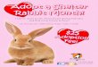 Adopt a Shelter Rabbit Month! - OC News Buildernewsbuilder.ocgov.com/previews/D5/vol6issue4/pdf... · Adopt a Shelter Rabbit Month! OC Animal Care • 1630 Victory Road • Tustin