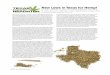 June18€¦ · NEWS I TRENDS I CULTURE I HEALTH Despite its stance on marijuana, Texas is not lagging behind on the hemp bandwagon. Hemp is rising even faster from the shad- ows of