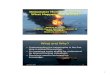 Deepwater Horizon Horizon Accident2.pdfآ  â€“ BP Deepwater Horizon Accident Investigation Report (Sept