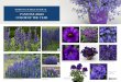 Inspiring picks for growers featuring the PANTONE 2020 ... 2020 Color of the Year Flyer.pdfPANTONE 2020 COLOR OF THE YEAR Inspiring picks for growers featuring the . GRIFFI . Created
