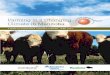 Farming in a Changing Climate in ... - Province of Manitoba...Our vision is for a future in which Manitobans will be aware of climate change facts related to Manitoba and will take