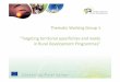 Thematic Working Group 1 “Targeting territorial ...€¦ · more balanced development of rural areas across Europe. In this context TWG1 assessed: ... Measures and resources applied