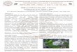 Milkweed Plantcalotropis, A Review · Sri Padmapriya. R1, Dr. Anita R. J. Singh2 1Research Scholar, 2Associate Professor PG & Research Department of Biotechnology, Women's Christian