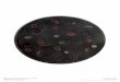 P-528 fern botanica - Ironies · Akira cast stone tabletop pattern - P-533 Available in various sizes. I R O N I E S 2004© All designs property of Ironies, Inc of Berkeley California