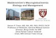 Waldenström’s Macroglobulinemia Biology and Management...Jul 08, 2015  · gp-130 . HCK . growth Degradation . survival . MYD88 : IRAK4 . ... Mason et al, BJH 2016 . Bing Center