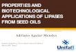 PROPERTIES AND BIOTECHNOLOGICAL APPLICATIONS OF …asaga.org.ar/descargas/material/SESION_BIOT/BIOT4... · Seed Oil Lipases – pH . 4 5 6 7 8 0 20 40 60 80 100. Castor bean Sunflower