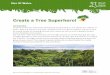 Create a Tree Superhero! - Size of Wales Why rainforests are important Tropical rainforests are often