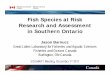 Fish Species at Risk Research and Assessment in Southern ...Southern Ontario – Ottawa River, Trent River, Detroit River, St. Clair River and Great Lakes nearshore beaches of Lake