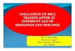 EVALUATION OF RICE TRANSPLANTER AT DIFFERENT AGE OF ... · hill-1 Panicle Length (cm) No. of filled grains panicle-1 No. of un filled grains panicle-1 Test Weig ht (g) Grain yield
