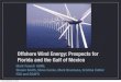 Offshore Wind Energy: Prospects for Florida and the Gulf of Mexico · 2010. 9. 10. · Flow Models (Wind Analysis and Application Program- WAsP) Uses roughness, stability, and reference