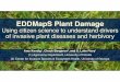 Kending etal EDDMaps Plant Damage · EDD Who is Invol Forty U.S. States and Four Ca have active EDDMapS prograr has national support from the I Service, U.S. Army Corps of El National