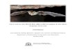 Cave use by the Ghost Bat (Macroderma gigas) at the West ... · Ghost bat faecal and tissue samples were collected from five roost sites (Figure 1) at two time points, 26 October