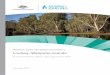 MURRAY-DARLING BASIN AUTHORITY Lindsay–Wallpolla Islands ... · MURRAY-DARLING BASIN AUTHORITY Lindsay–Wallpolla Islands Environmental Water Management Plan February 2012