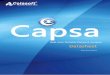 Datasheet - Colasoft · comes to computer networks, the key issues are security, speed, and reliability. A newly improved network analyzer called Capsa 6.9 R2, developed by Colasoft