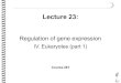281 Lec23 2019 - HAGeneticshagenetics.org/hh/wp-content/uploads/2019/09/281_Lec23_2019.pdf · • Understand the difference between prokaryotic and eukaryotic repressors. • Understand