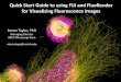 Quick Start Guide to using FIJI and FluoRender for Visualizing … · 2020. 1. 8. · Purpose: This workshop aims to introduce you to how FIJI and FluoRender are used to visualize