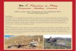 Mid-Asian Ibex hunting in Kazakhstan 2021 - Passion & Prey … · 2020. 3. 1. · Mid-Asian Ibex hunting in Kazakhstan 2021 Prime hunting area Highlights Kazakhstan is the second