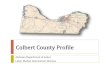 Colbert County Profile - labor.alabama.gov County.pdfSource: CEB TalentNeuron-Wanted Analytics Colbert County. Expected Worker Shortfall 2016-2026 2016-2030 Total Population Growth-0.5