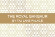 THE ROYAL GANGAUR - Hospitality ON - TLP_2.pdf · worshipped by married women, who, just as in Karva Chauth, fast and pray for the longevity of their husbands and unmarried girls