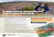 New Supporting Sustainable Agriculture in WA Ag in WA... · 2016. 9. 7. · Developed by NRM WA, this brochure describes opportunities to improve the adoption of sustainable agriculture
