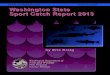 Washington State Sport Catch Report 2013€¦ · The sport harvest estimates for salmon, steelhead, sturgeon, marine fish and shellfish are produced at varying times of each year