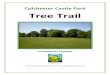 Colchester Castle Park Tree Trail · Colchester Castle Park Tree Trail The trail follows a map and begins by the bridge into the castle. The route sets off in a northerly direction