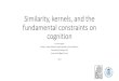 Similarity, kernels, and the fundamental constraints on ... · Similarity, kernels, and the fundamental constraints on cognition A survey paper Authors: Reza Shahbazi, Rajeev Raizada,