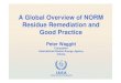 A Global Overview of NORM Residue Remediation and Good ... · IAEA Summary • NORM industries are becoming better known and their radiation safety and remediation issues recognised