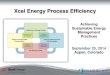 New Xcel Energy Process Efficiency - Utility Exchange · 2017. 11. 12. · Xcel Energy’s PE Program Success Factors Discipline – of continuous improvement Collaboration – among