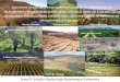 Comment la viticulture européenne conçoit son adaptation ...€¦ · Comment la viticulture européenne conçoit son adaptation au changement climatique et quelle place elle peut