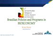 Brazilian Policies and Programmes in BIOECONOMY · São Paulo, November 8th, 2017. DEMOGRAPHIC CHANGES Population growth Increase income Urbanization Aging ... Chemistry Industry